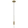 Perret 1-Light Aged Brass Mini Pendant by Trend Lighting