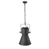 Crew 1-Light Matte Black Pendant by Trend Lighting