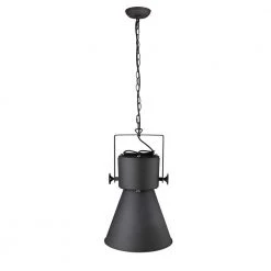 Crew 1-Light Matte Black Pendant by Trend Lighting