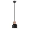 Ingo 1-Light Matte Black Pendant by Trend Lighting -Halo Shop matte black trend lighting chandeliers tp30065bk 64 1000