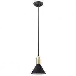 Ingo 1-Light Matte Black Pendant by Trend Lighting
